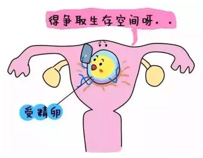 微信图片_20240723090710