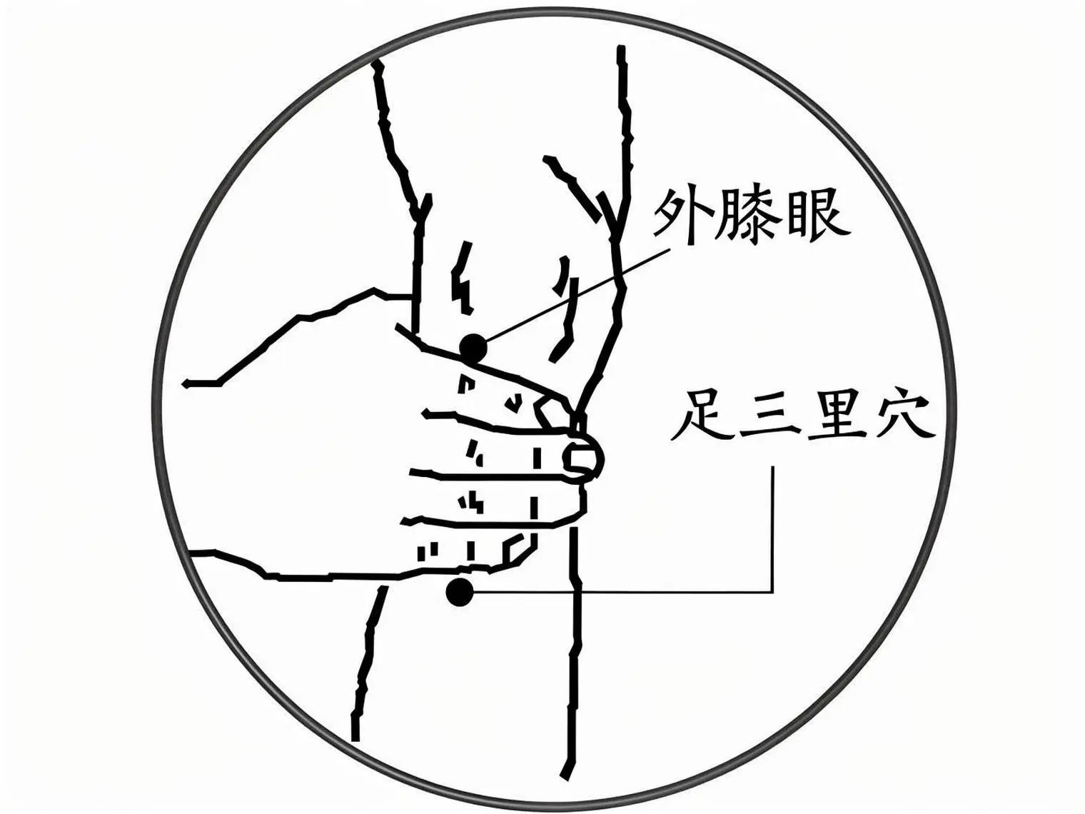 91443a34170ff7118782032a6f032acd.jpg