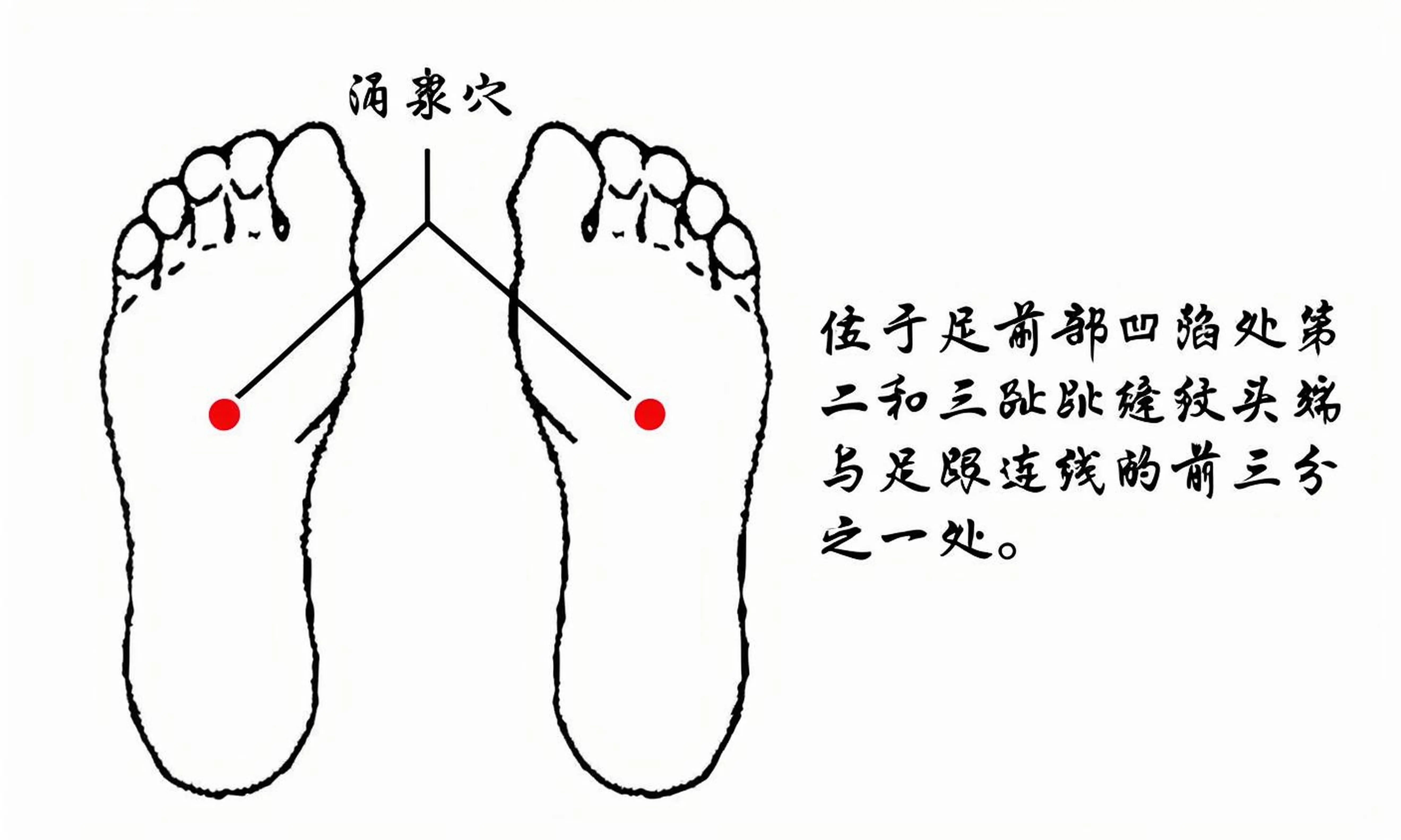 808cb6b022bfeede0398cf3bd105fc8f.jpg